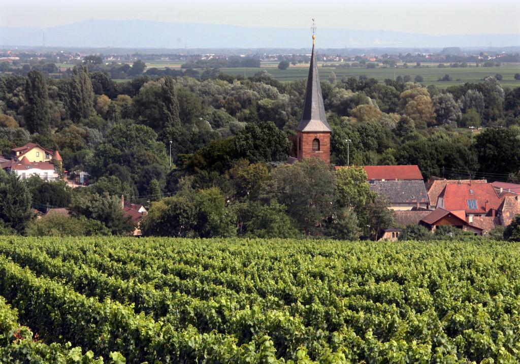 Weinstube Schwarzamsel Apartamento Speyer Exterior foto
