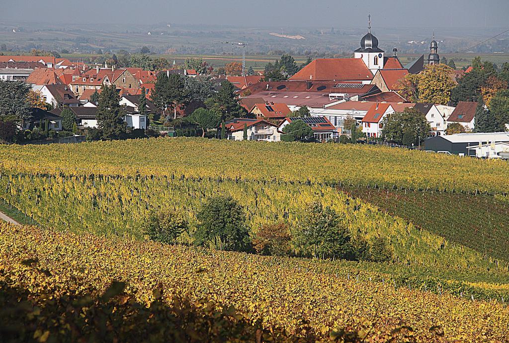 Weinstube Schwarzamsel Apartamento Speyer Exterior foto