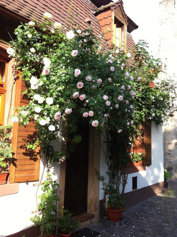 Weinstube Schwarzamsel Apartamento Speyer Exterior foto